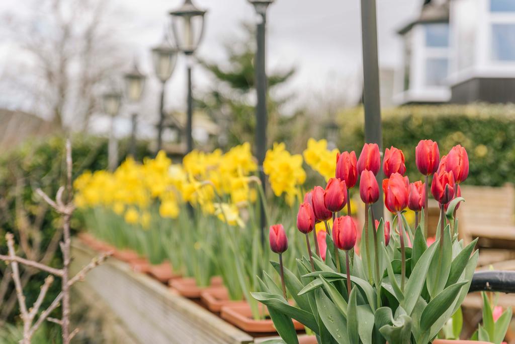 Bryn Bella Hotel คอนวี ภายนอก รูปภาพ